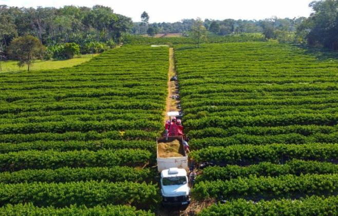 governo-de-mt-tem-linha-de-credito-para-financiar-equipamentos,-maquinas-e-implementos-agricolas