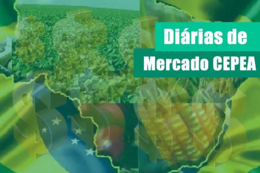 ovos/cepea:-medias-mensais-sao-recordes-da-serie-do-cepea